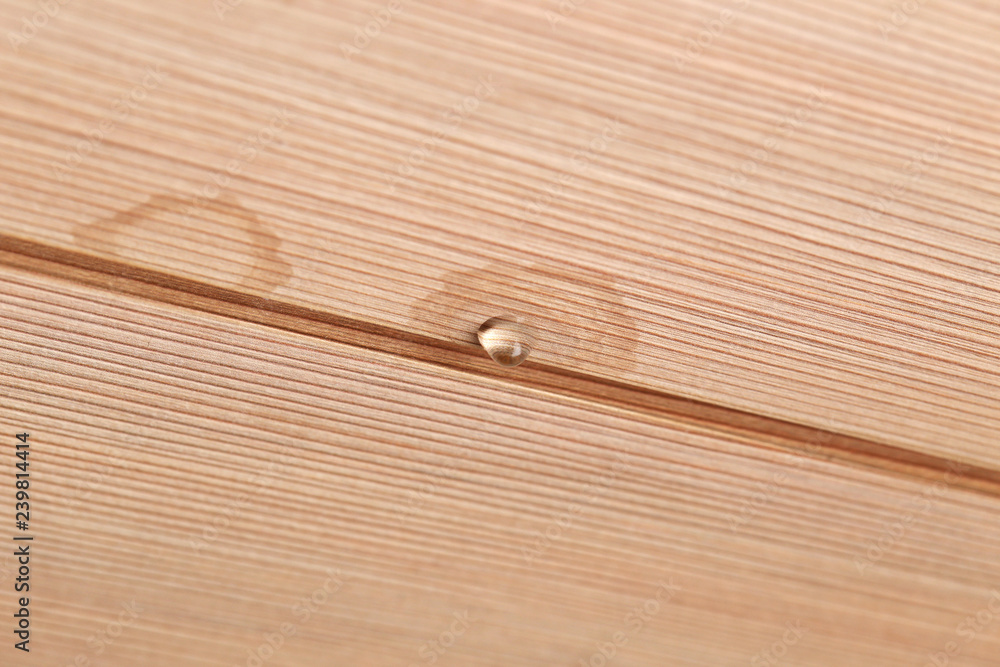 AdobeStock_239814414_Preview